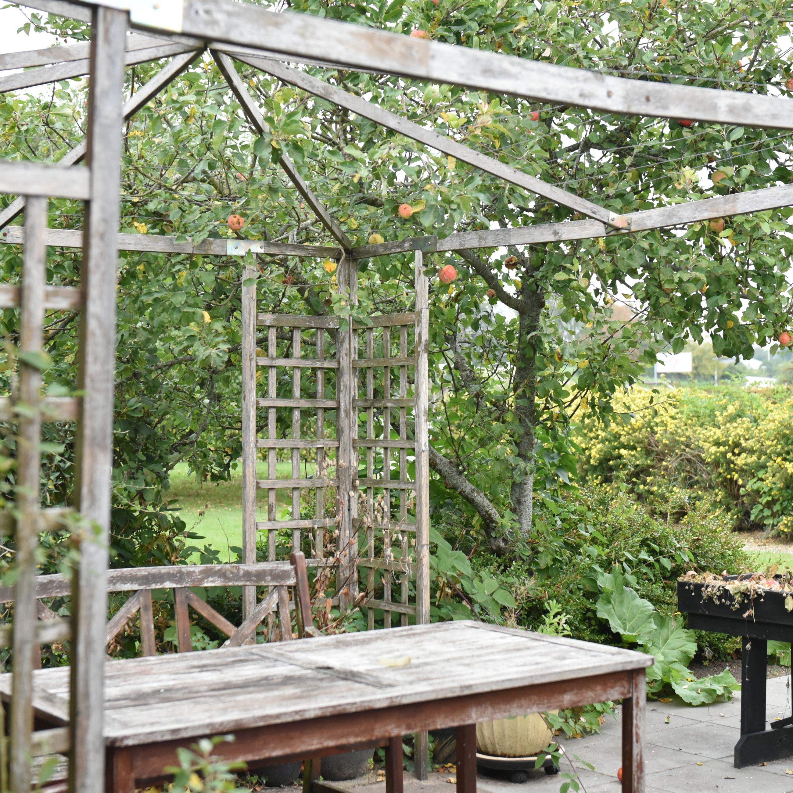 Træpavillon og træhavemøbler hos Kildevang