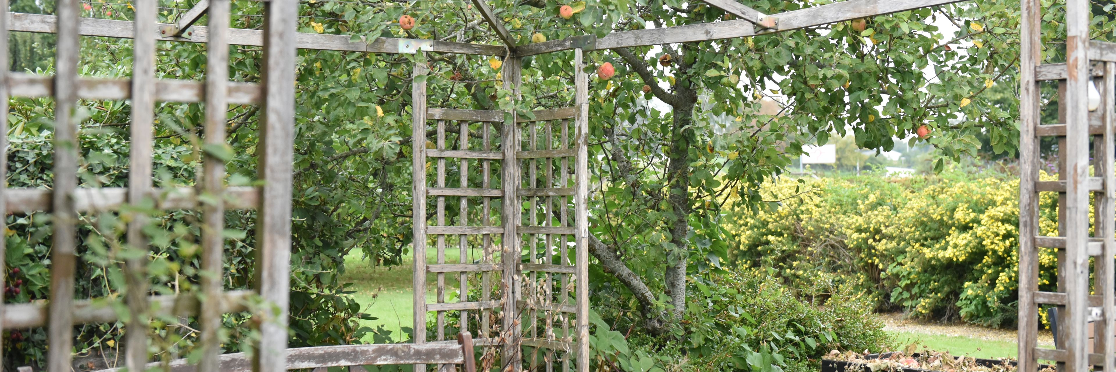 Træpavillon og træhavemøbler hos Kildevang