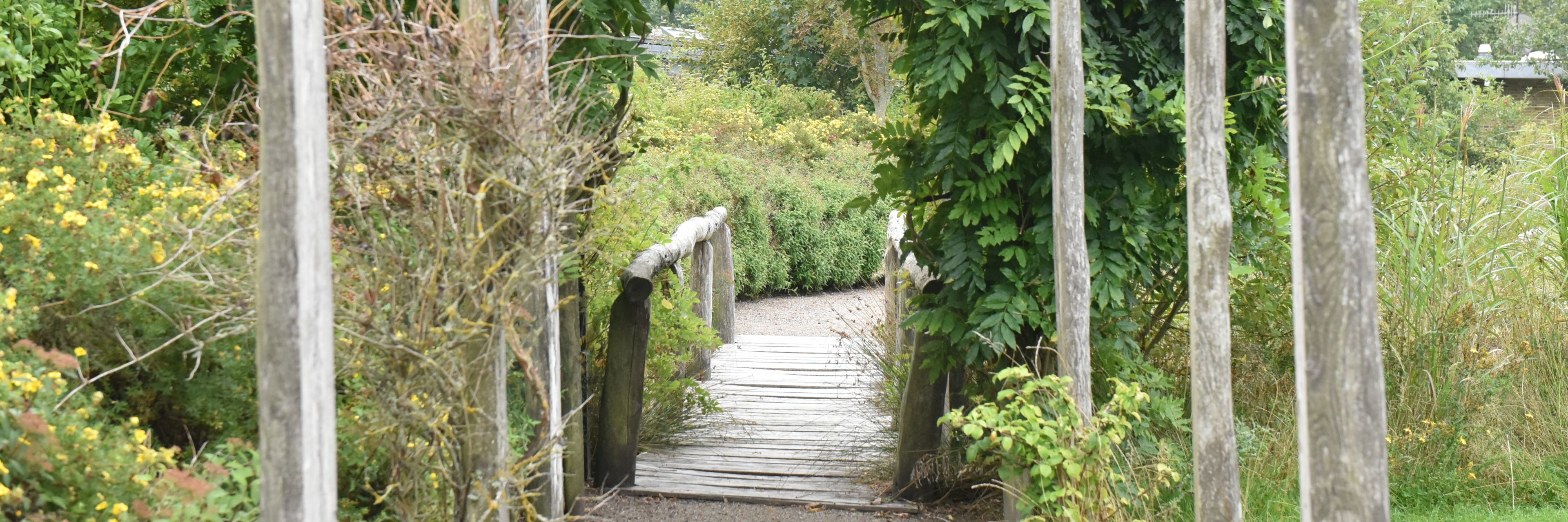 Gangsti og træbro på Kildevang
