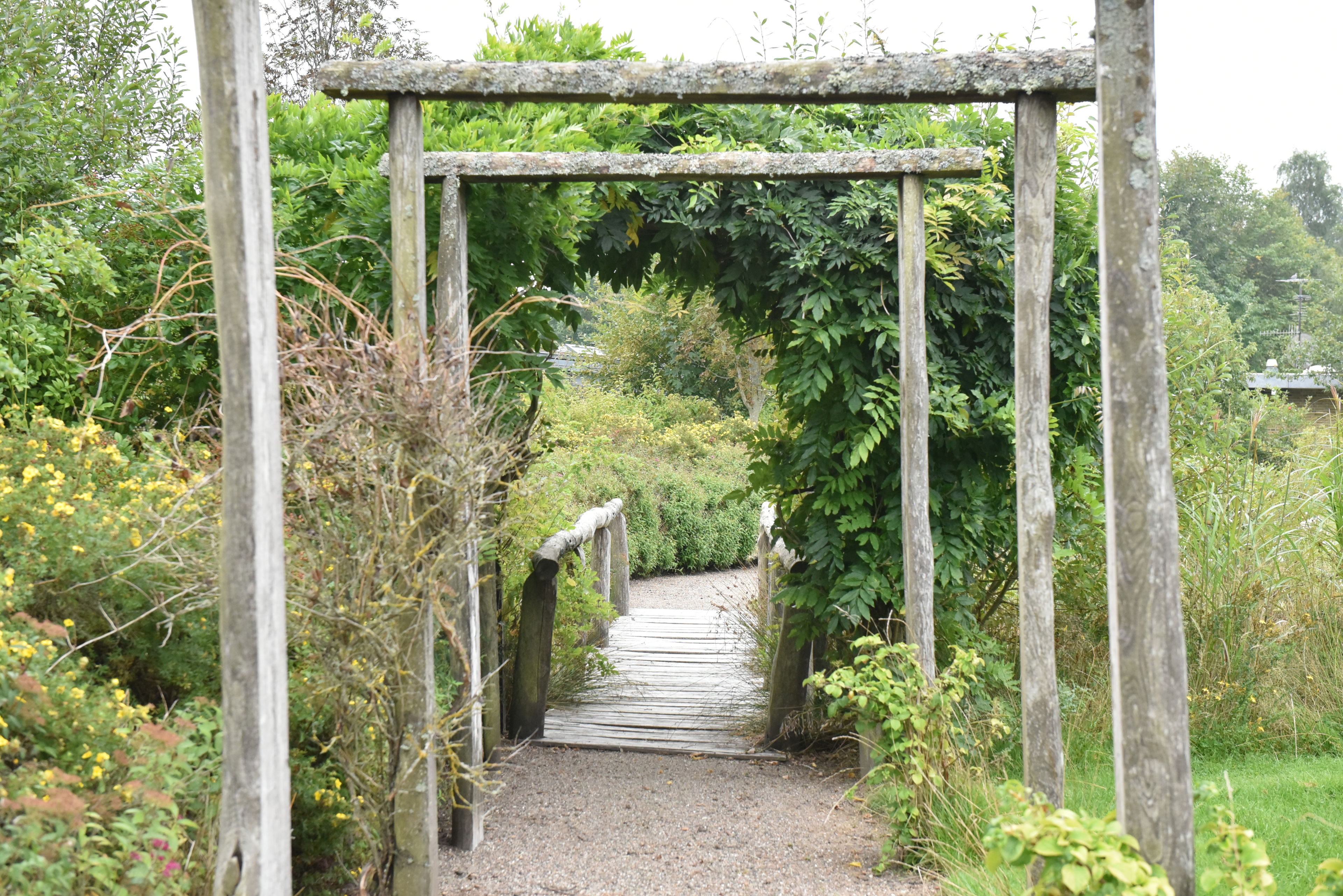 Gangsti og træbro på Kildevang