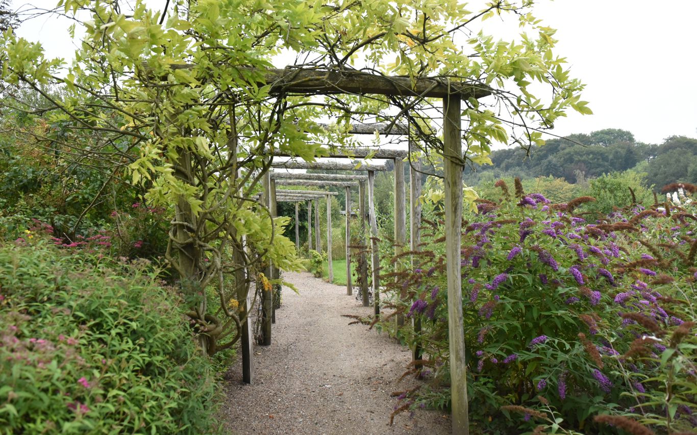 Gangsti i have hos Kildevang