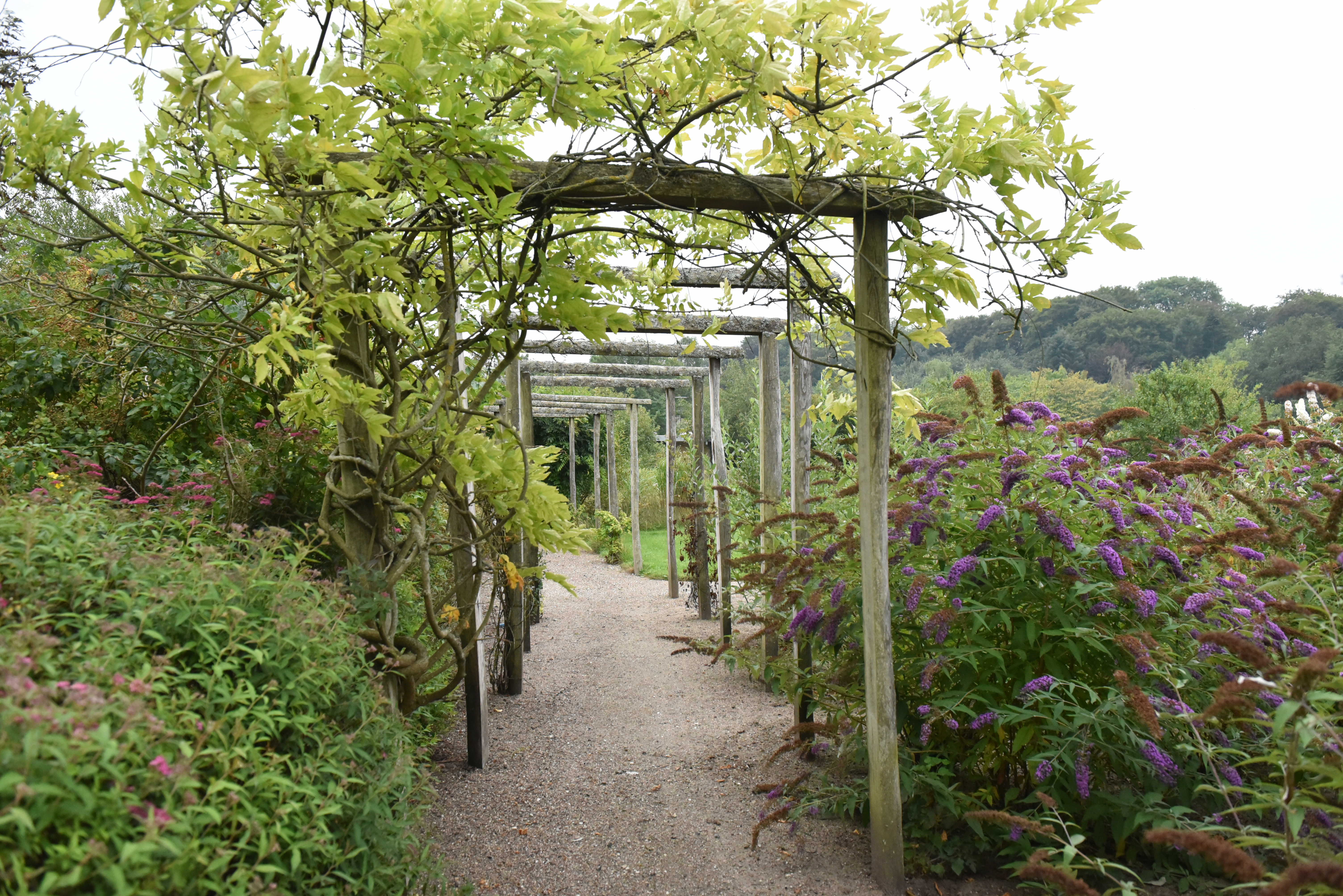 Gangsti i have hos Kildevang